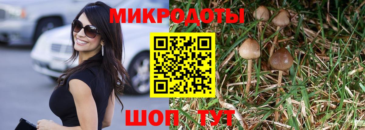 Псилоцибиновые грибы Magic Shrooms  Вход с VPN  даркнет сайт  Ржев 